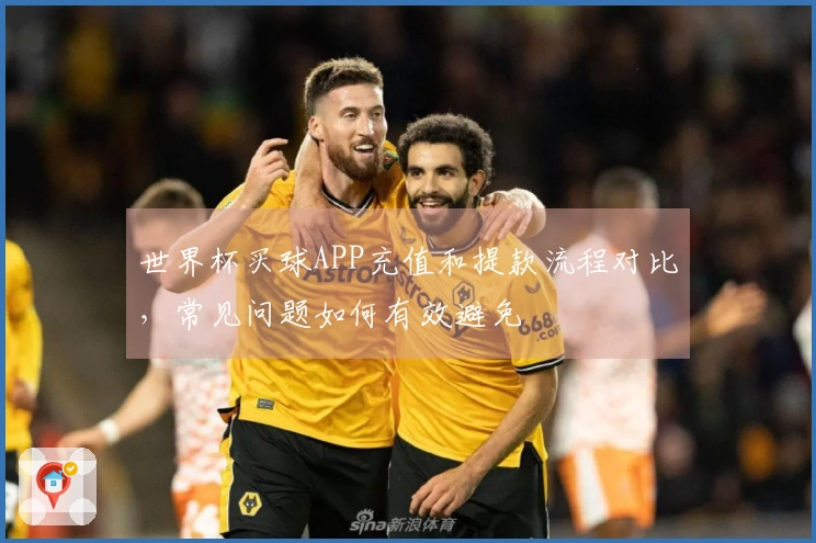 世界杯买球APP充值和提款流程对比，常见问题如何有效避免
