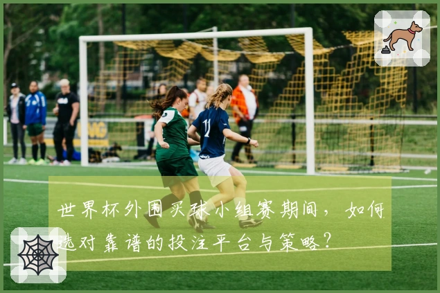 世界杯外围买球小组赛期间，如何选对靠谱的投注平台与策略？
