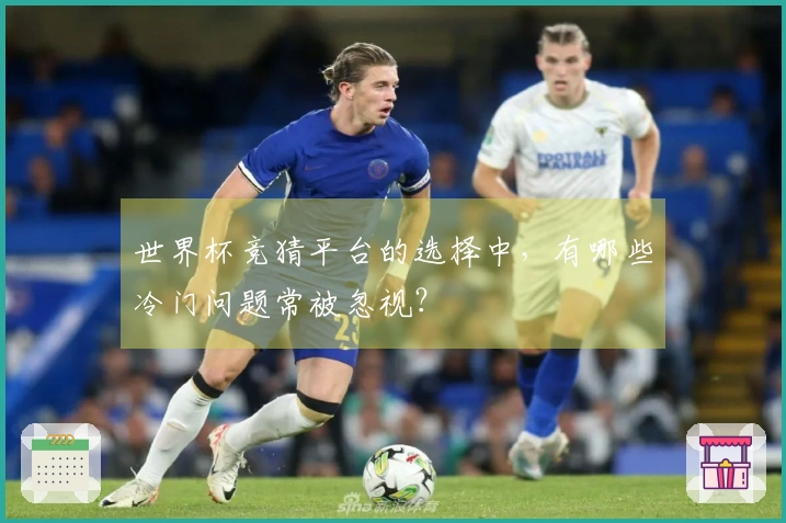 世界杯竞猜平台的选择中，有哪些冷门问题常被忽视？