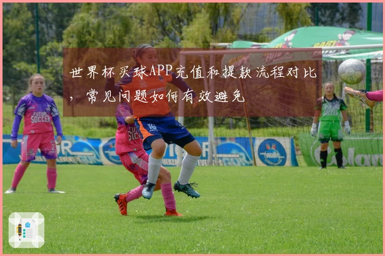世界杯买球APP充值和提款流程对比，常见问题如何有效避免